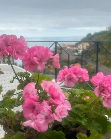 Casa Do Pico