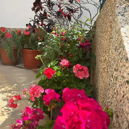 Casa Do Pico Casa di campagna Ribeira Brava